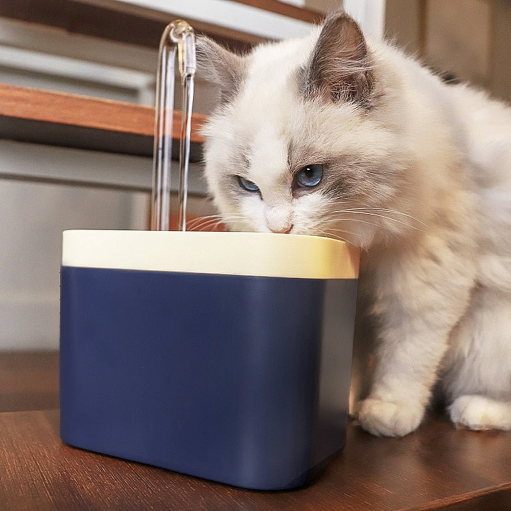 Såhär får du din katt/hund att dricka mer vatten