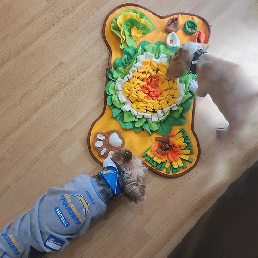 Hjärngympa för dina husdjur - Snuffelmatta & aktiveringsmatta för katter och hundar
