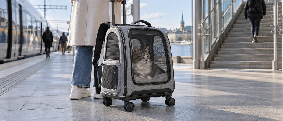 Katt i transportväska vid svensk tågperrong - Djurslottet