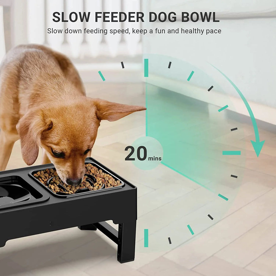 upphöjd justerbar matskål med slowfeeder och antispill vattenskål - En innovativ lösning till alla hundar och katter 