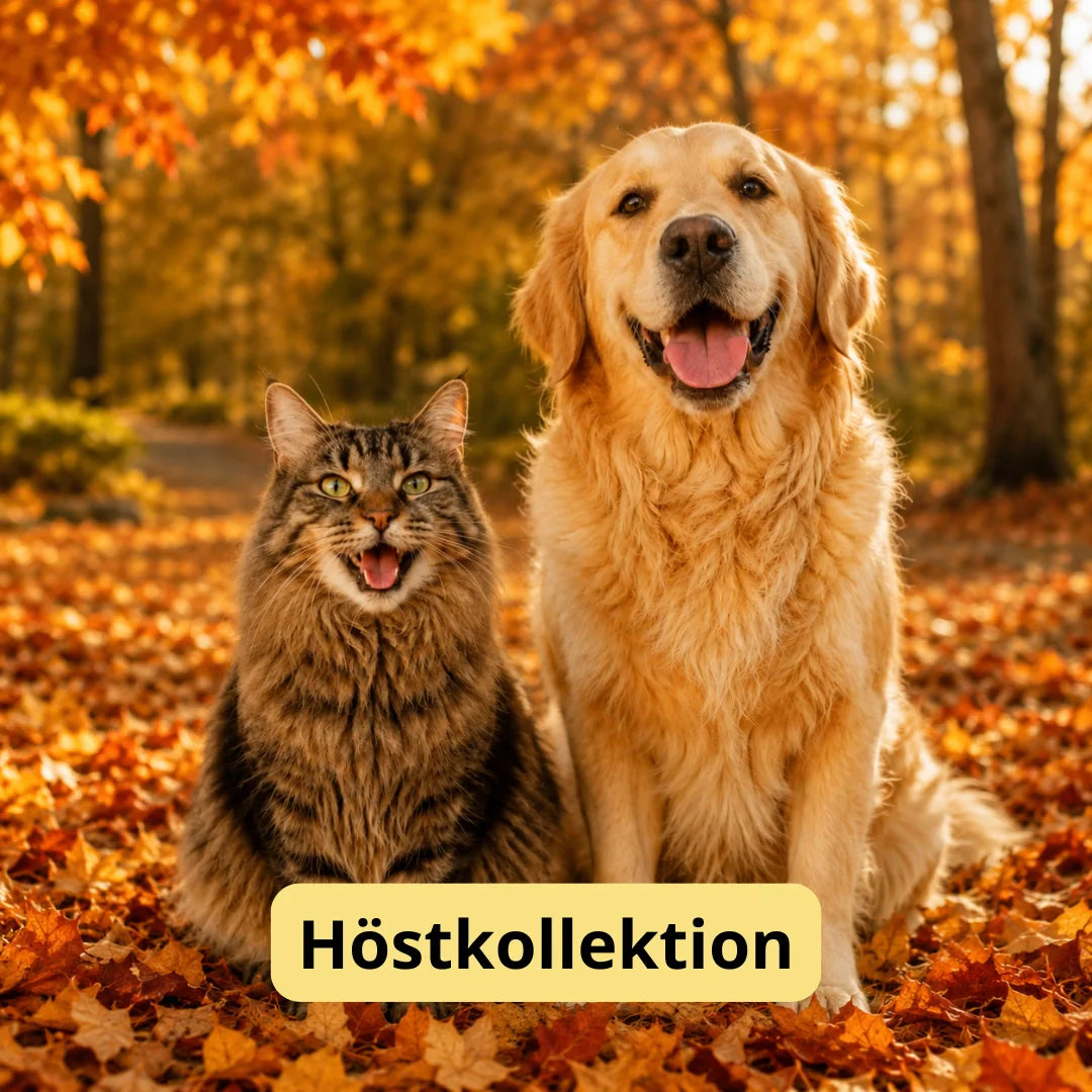 Höstkollektion - Djurslottet