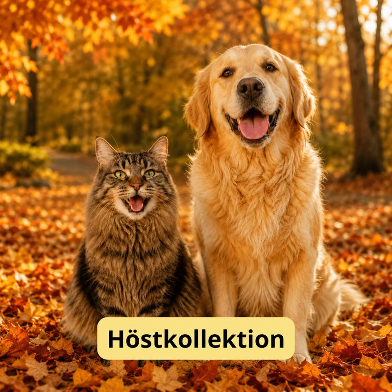 Höstkollektion - Djurslottet