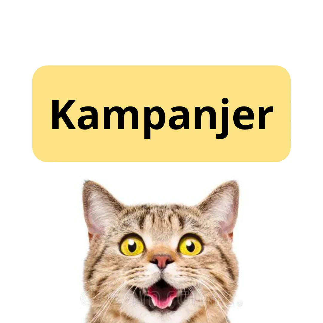 Kampanjer för katter och kattägare - Rea på kattartiklar, klösträd, kattmat och mer