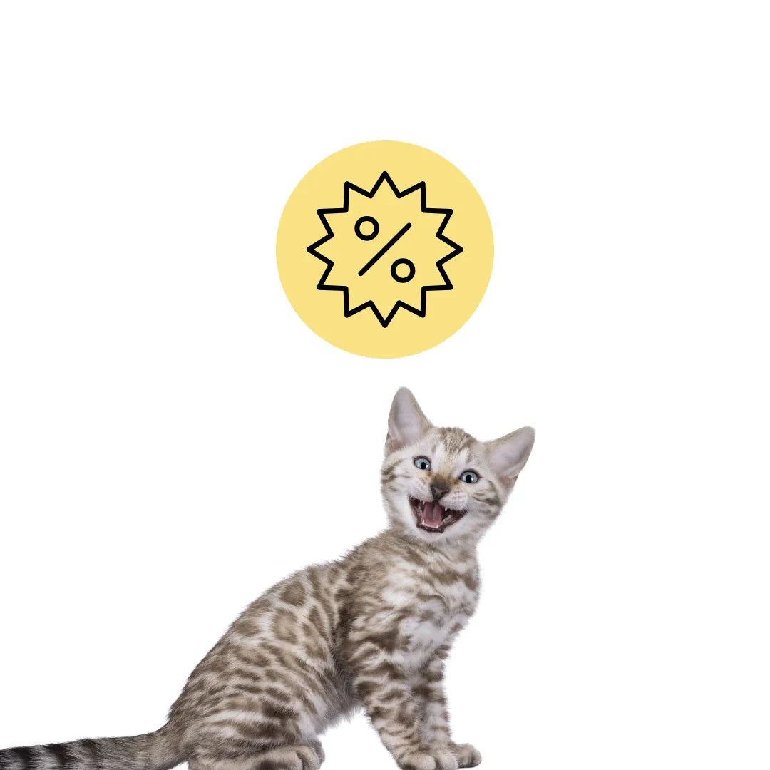 Kampanjer för katter och kattägare - Rea på kattartiklar, klösträd, kattmat och mer