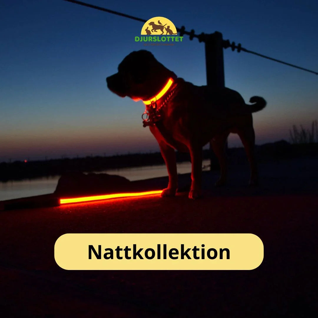 Djurslottets nattkollektion innehåller produkter för hundar och katter som är anpassad för mörka tider och promenader