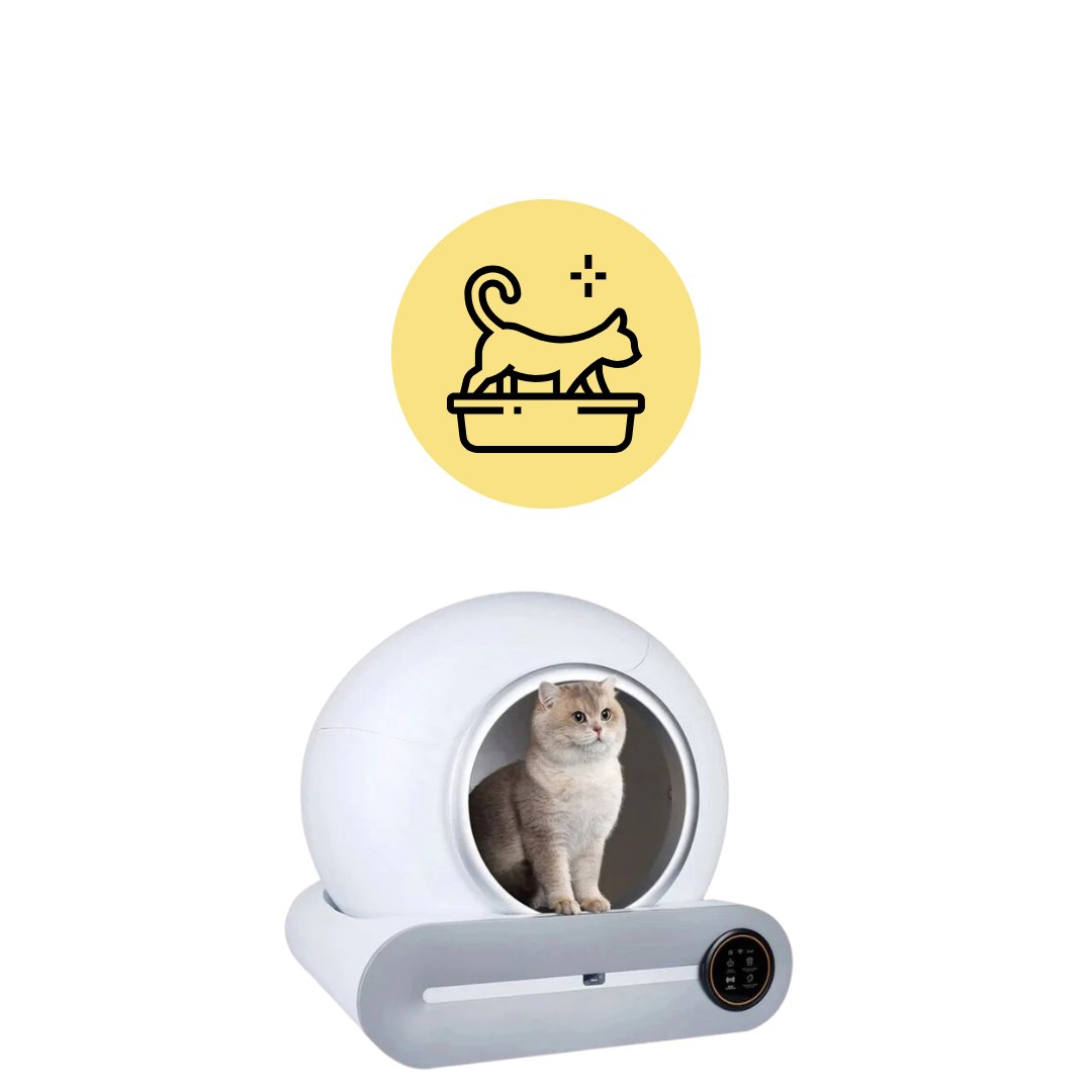 Kattlåda & kattsandlåda och tillbehör till kattsandlådan såsom luftrenare sandlådematta med mera - Djurslottet