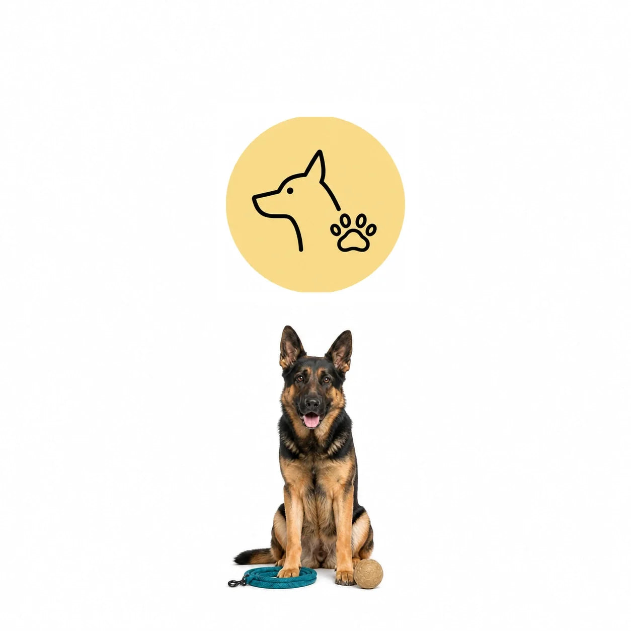 Hundprodukter och hundtillbehör med koppel och leksak – Djurslottet