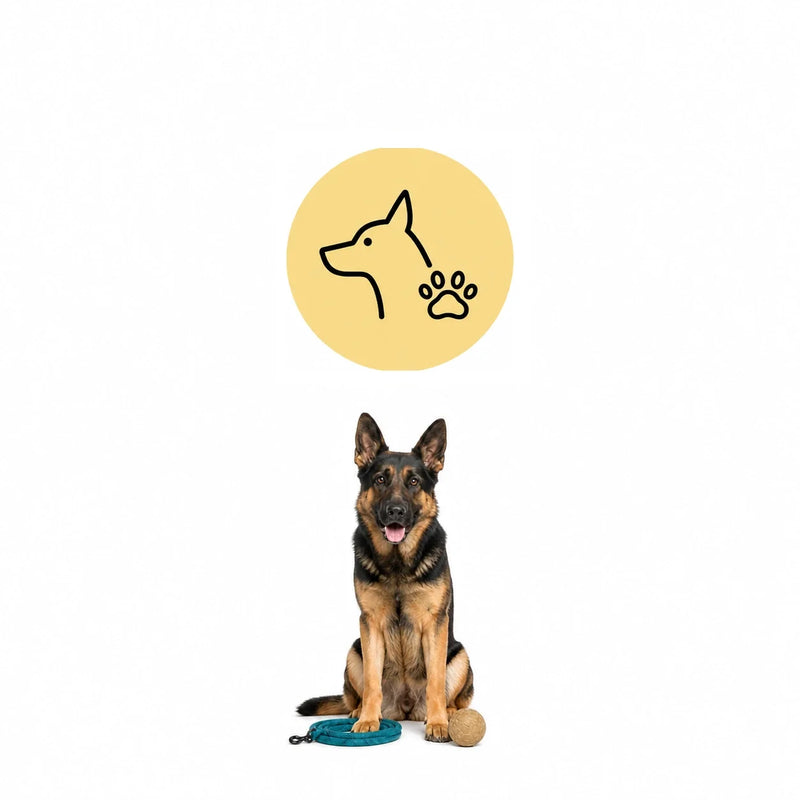 Hundprodukter och hundtillbehör med koppel och leksak – Djurslottet