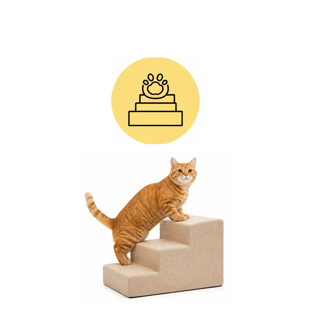 Katttrappor och ramper med katt på husdjurstrappa – Djurslottet