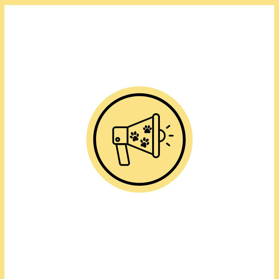 Nysläppta hund och katt produkter - Tillbehör | Djurslottet