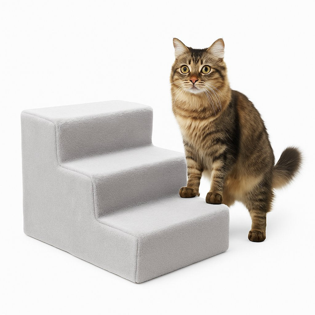 Katt på grå trappa för husdjur mot vit bakgrund