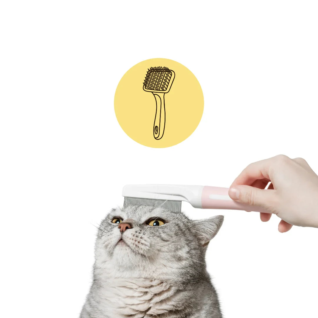 Stort utbud av kattborstar, trimmer, luddskrapa och mycket mer