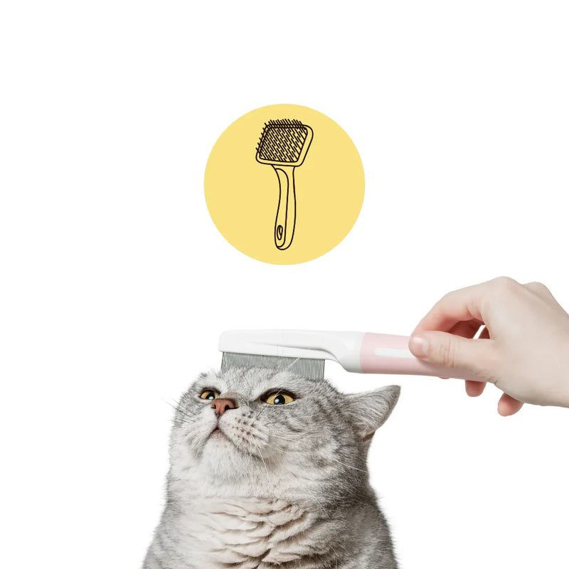 Stort utbud av kattborstar, trimmer, luddskrapa och mycket mer