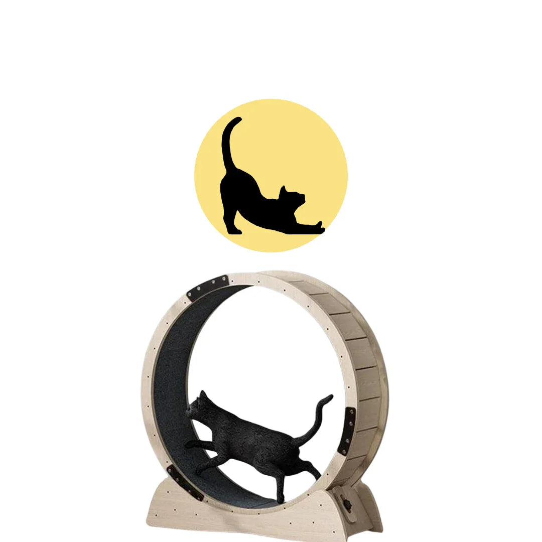 Katt- träningskollektion - Stort utbud av träningstillbehör för katter online