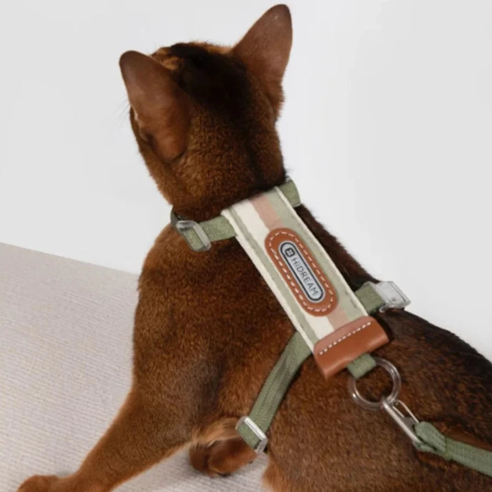 HiDream Stripe Series kattsele - Djurslottet