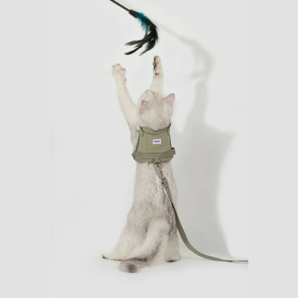 HiDream Vest Series Kattsele - Djurslottet