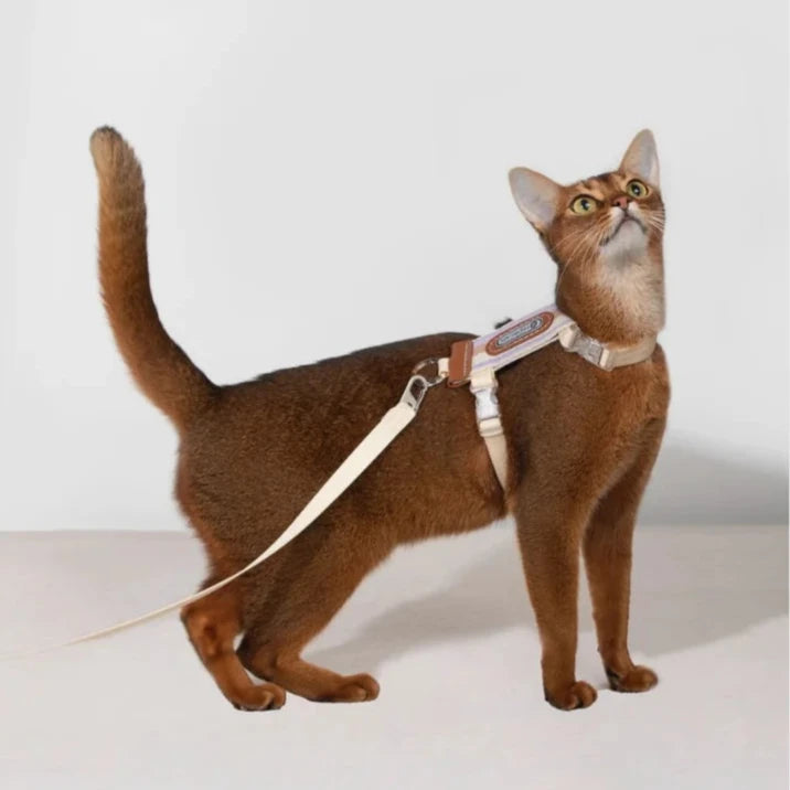 HiDream Stripe Series kattsele - Djurslottet