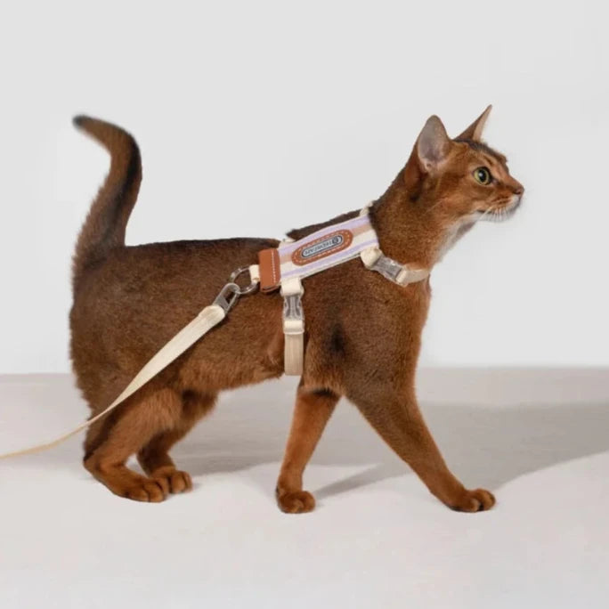 HiDream Stripe Series kattsele - Djurslottet