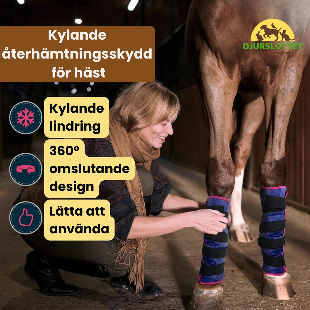 2-pack Kylbandage häst för ben Kylande återhämtningsskydd  för häst- Djurslottet