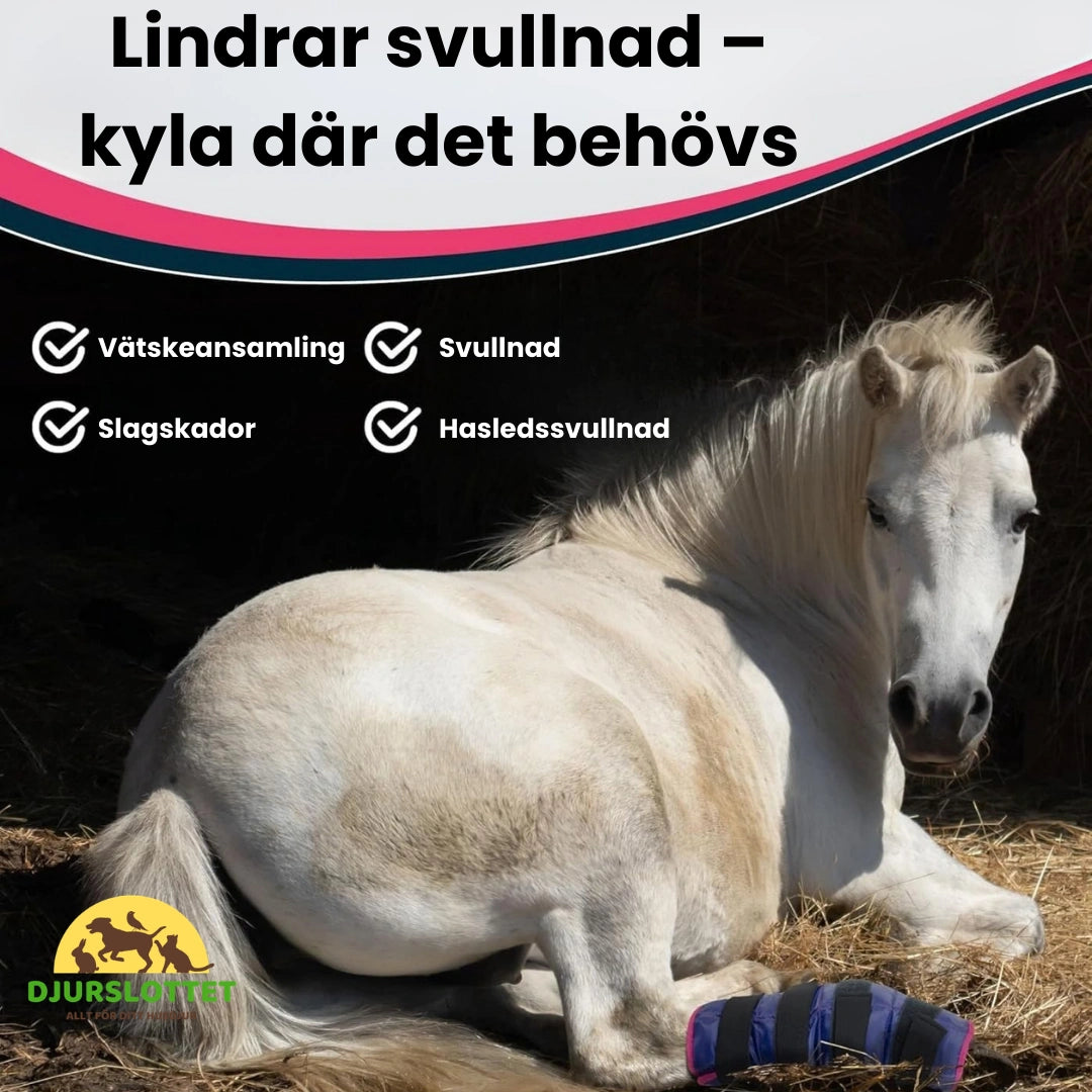 2-pack Kylbandage häst för ben Lindrar svullnad – kyla där det behövs - Djurslottet