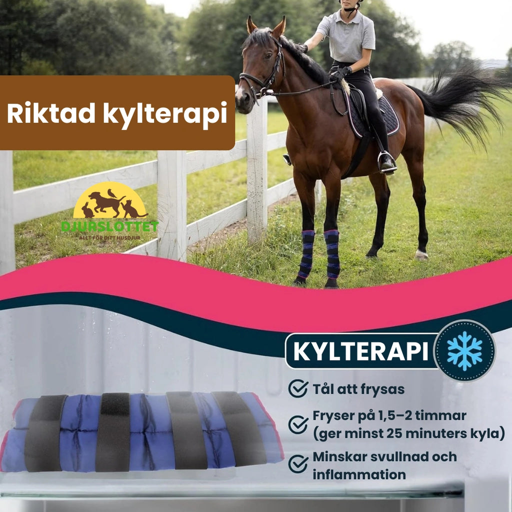 2-pack Kylbandage häst för ben Riktad kylterapi - Djurslottet