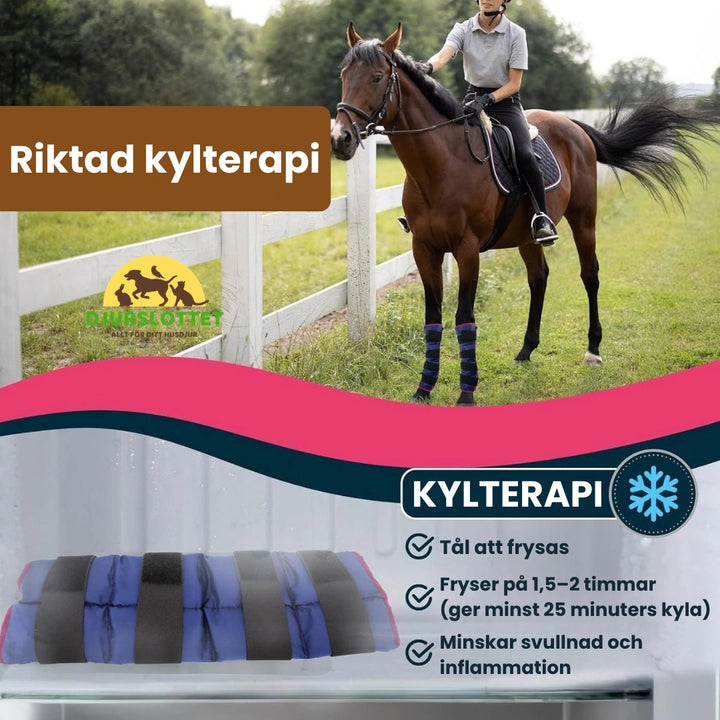 2-pack Kylbandage häst för ben Riktad kylterapi - Djurslottet