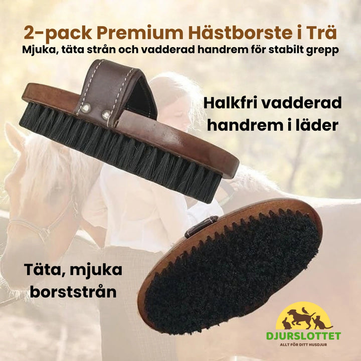2-pack Premium Hästborste i Trä Mjuka, täta strån och vadderad handrem för stabilt grepp - Djurslottet
