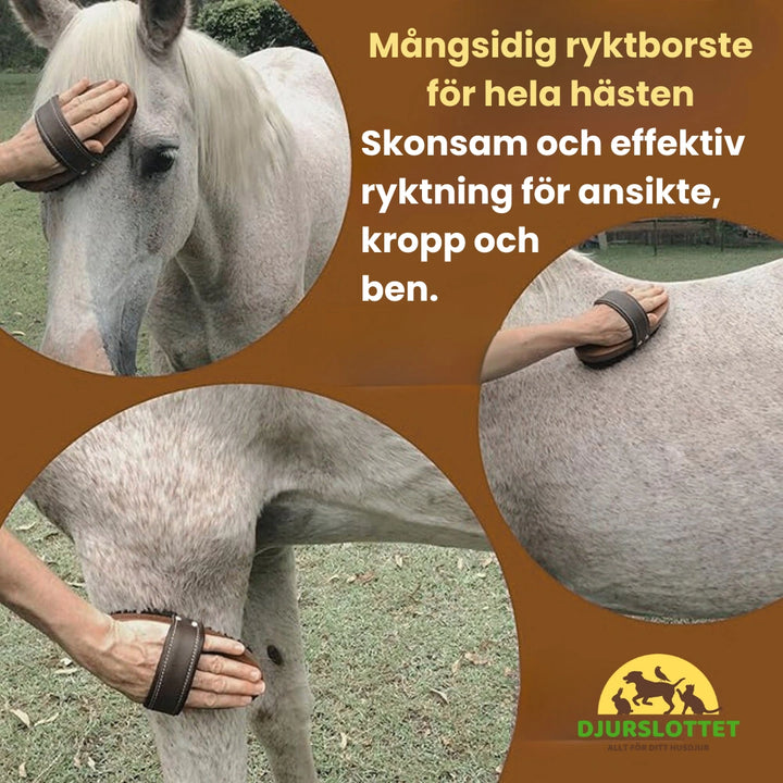 2-pack Premium Hästborste i Trä Skonsam och effektiv ryktning för ansikte, kropp och 
ben. - Djurslottet
