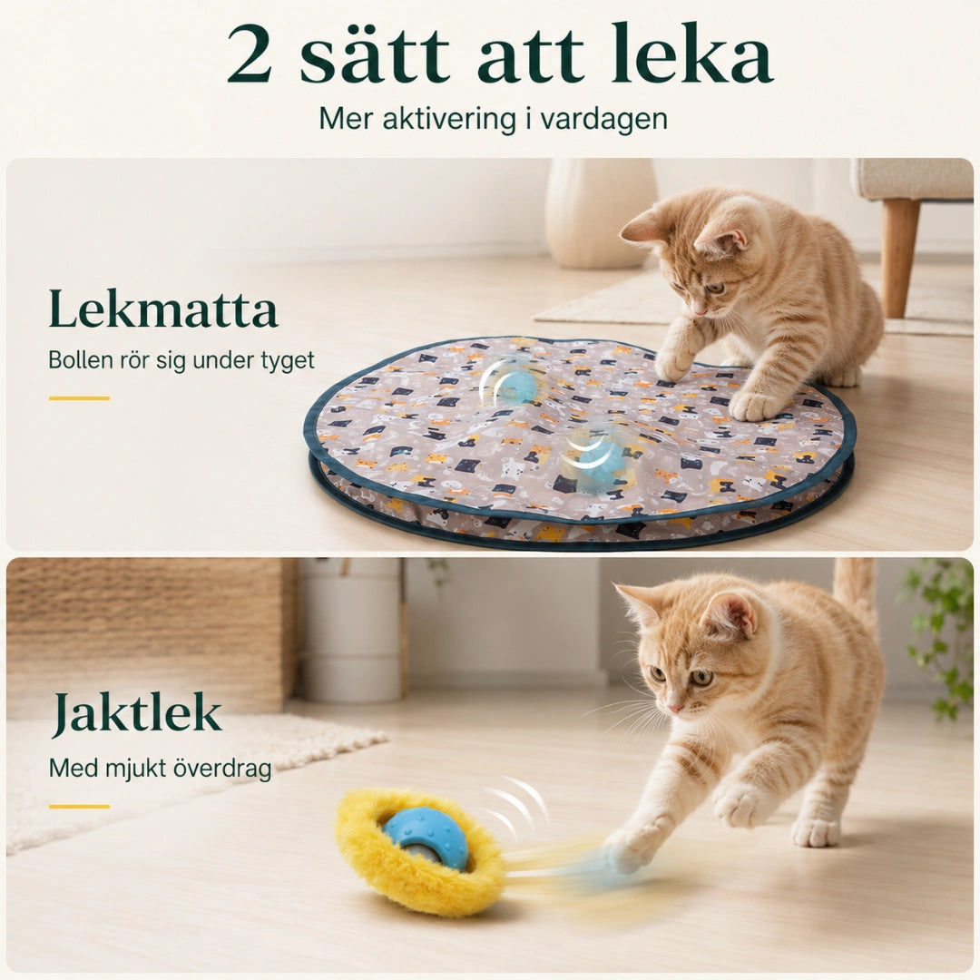 Två sätt att leka med kattleksaken - Djurslottet
