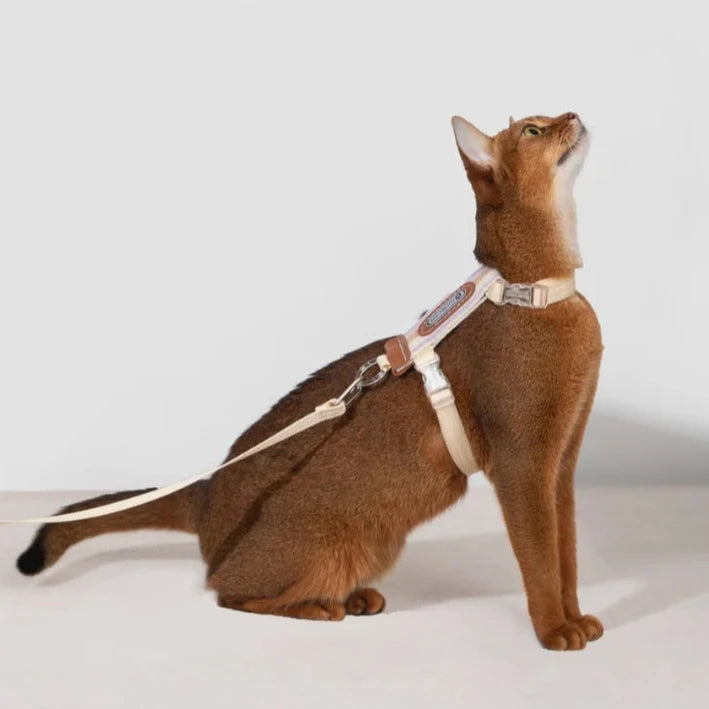 HiDream Stripe Series kattsele - Djurslottet