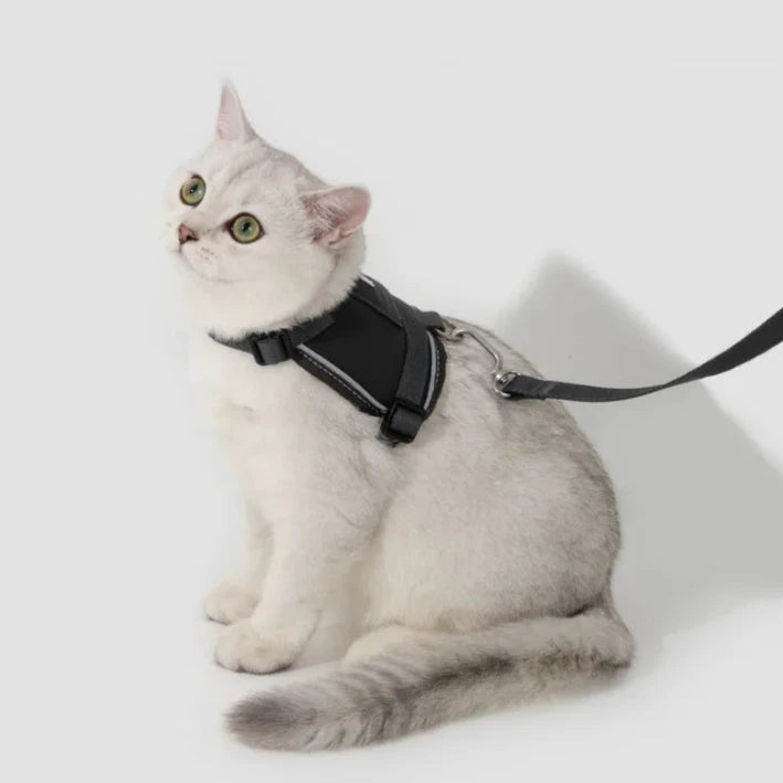 HiDream Vest Series Kattsele - Djurslottet