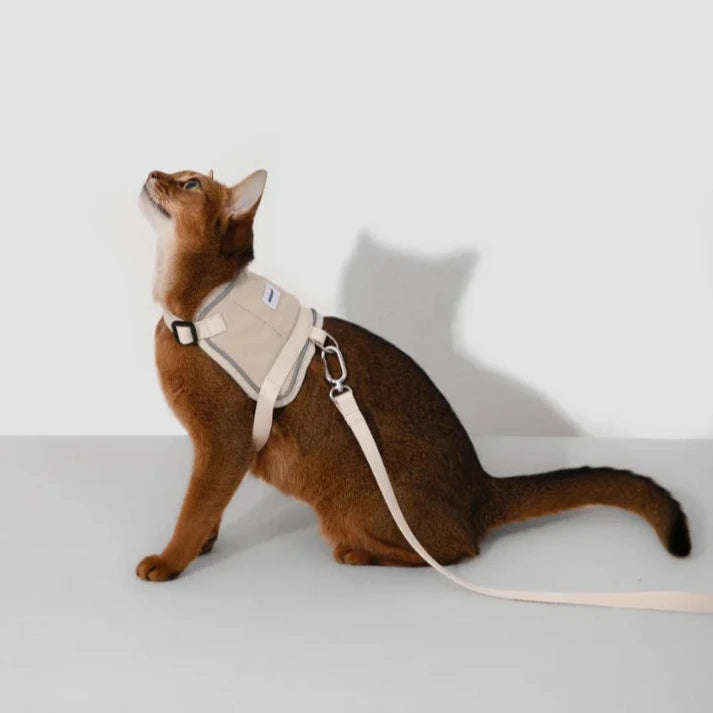 HiDream Vest Series Kattsele - Djurslottet