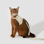 HiDream Vest Series Kattsele - Djurslottet