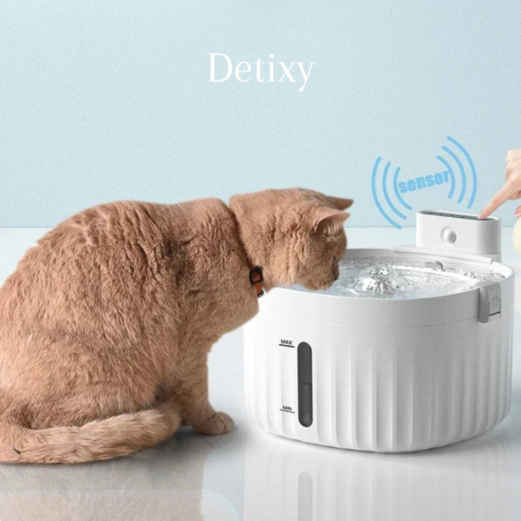 Detixy trådlös vattenfontän - Djurslottet