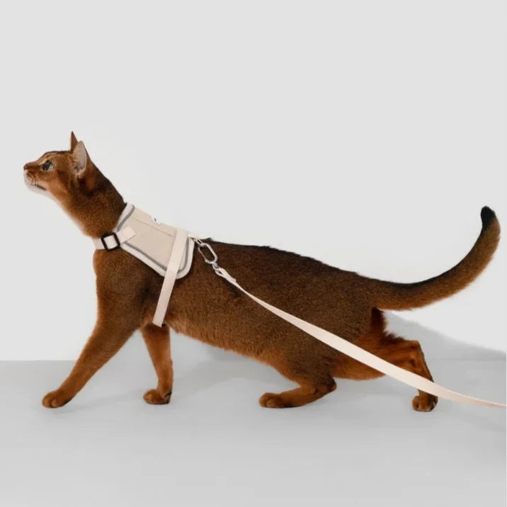 HiDream Vest Series Kattsele - Djurslottet