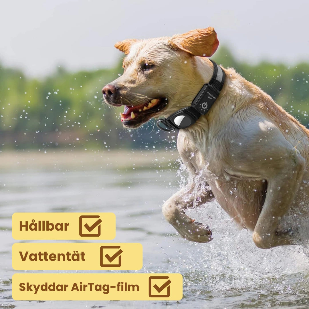 Lysande Airtag halsband För hundar Hallbar- Djurslottet