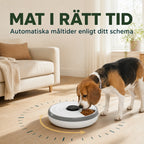 Hund som äter ur foderautomaten enligt det inställda schemat - Djurslottet