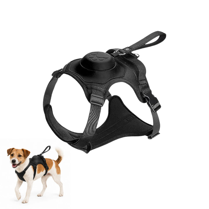 Hundsele med inbyggt flexikoppel Storlek S - Djurslottet