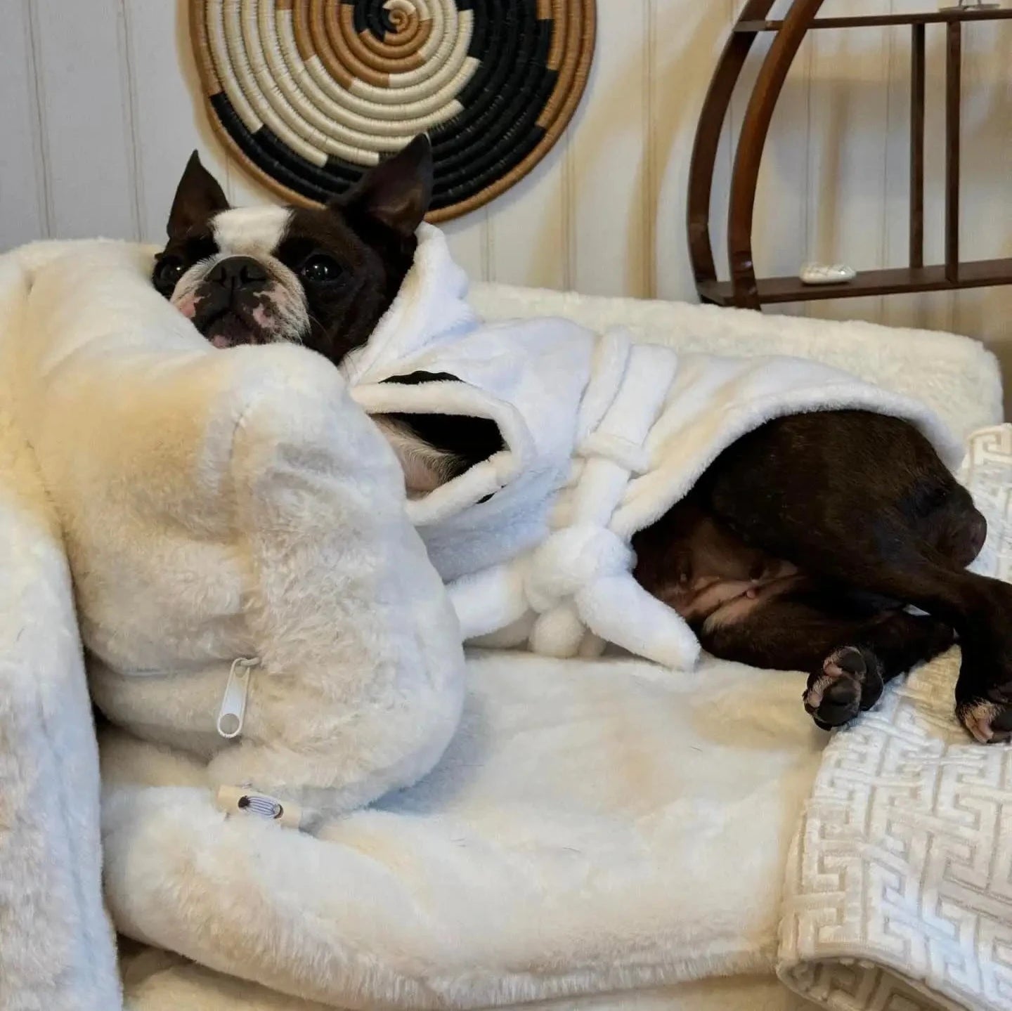 ComfyPaws djurbädd på ben - Djurslottet