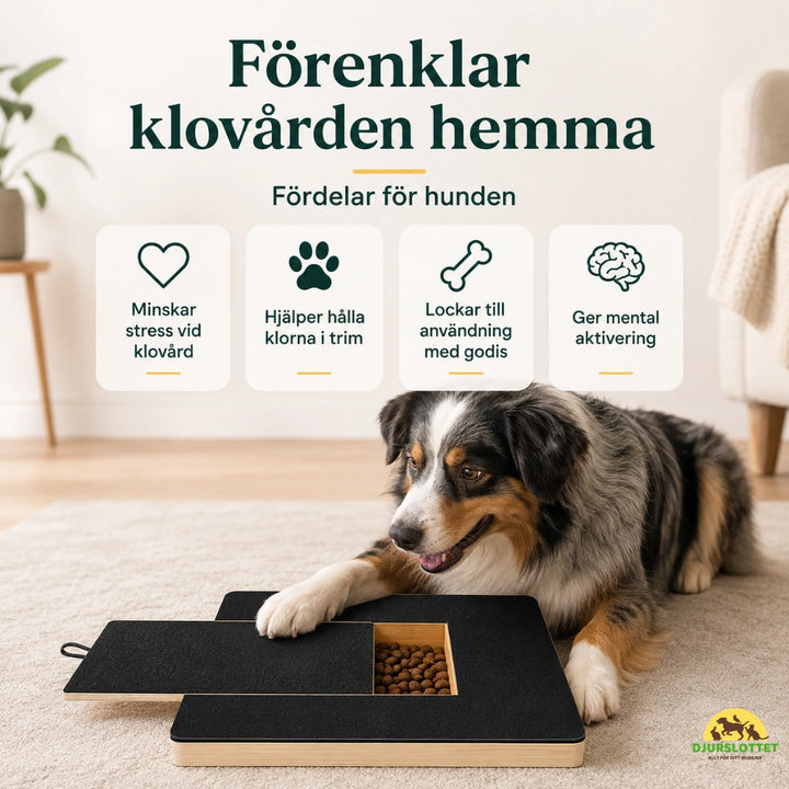 Självslipande Klobräda för Husdjur - Djurslottet