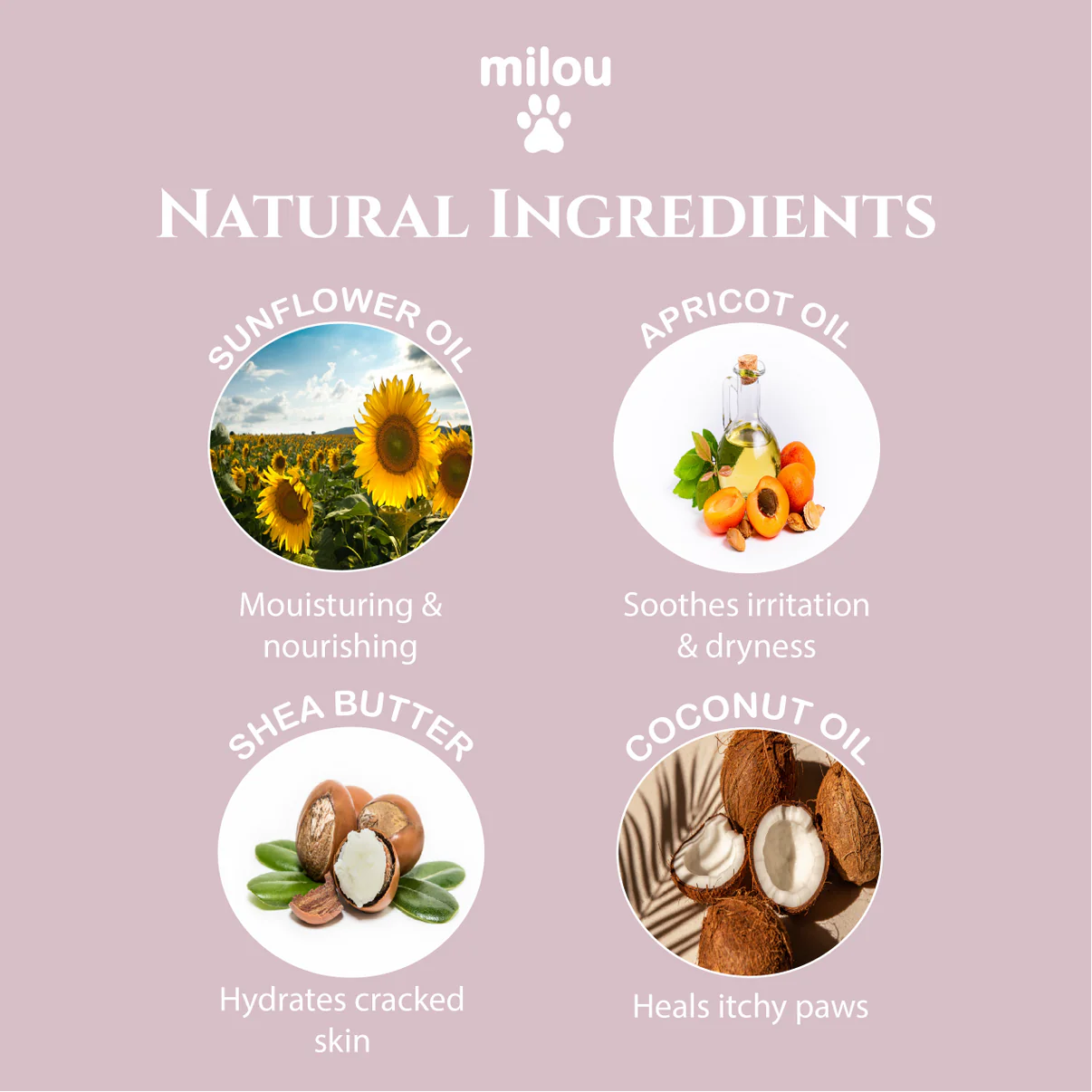 Milou Tass och Nosbalsam - Djurslottet