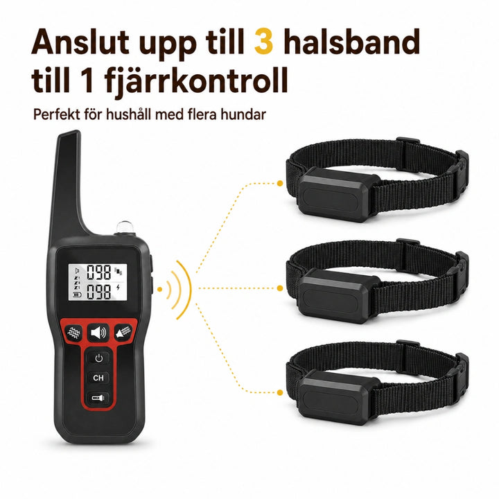 Antiskäll halsband anslut upp till 3 halsband - Djurslottet