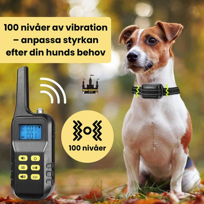 Antiskällhalsband DuoControl 100 nivåer av vibration – anpassa styrkan efter din hunds behov - Djurslottet