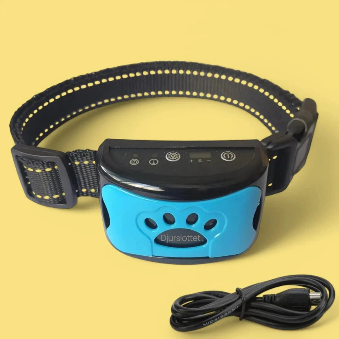 Antiskällhalsband blå - Djurslottet