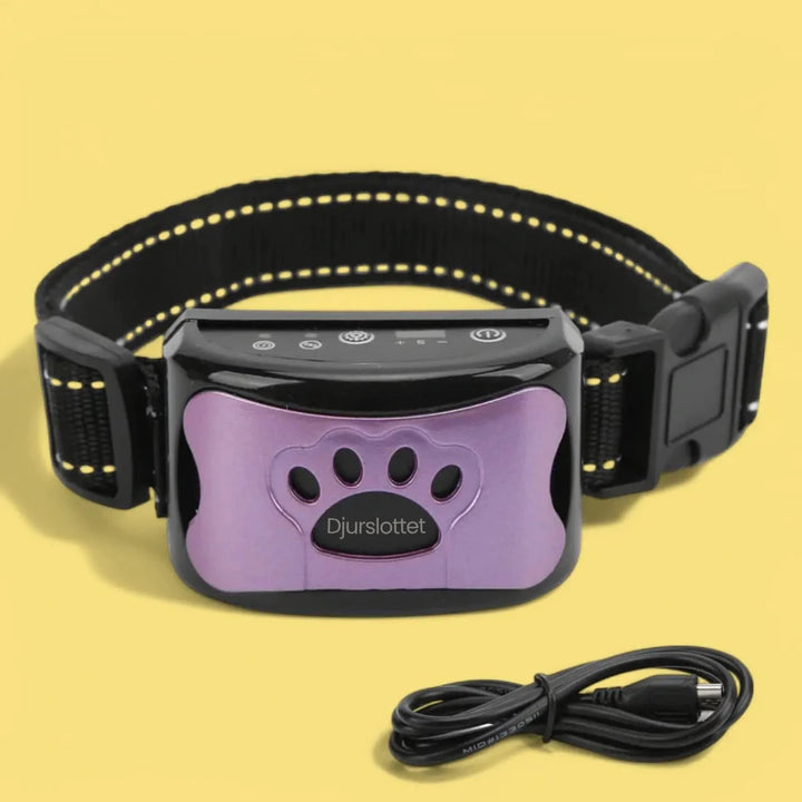 Antiskällhalsband lila - Djurslottet