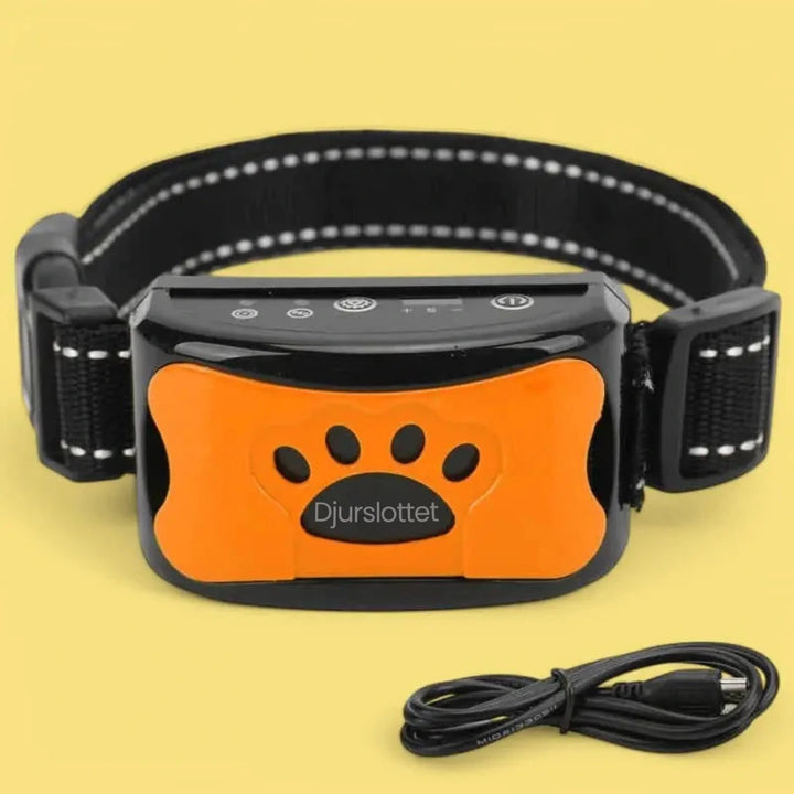 Antiskällhalsband orange färg automatisk - Djurslottet