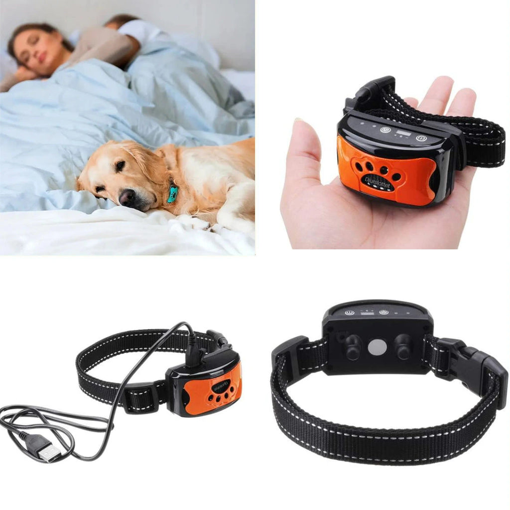 Antiskall_halsband bild på framsida och baksida - Djurslottet