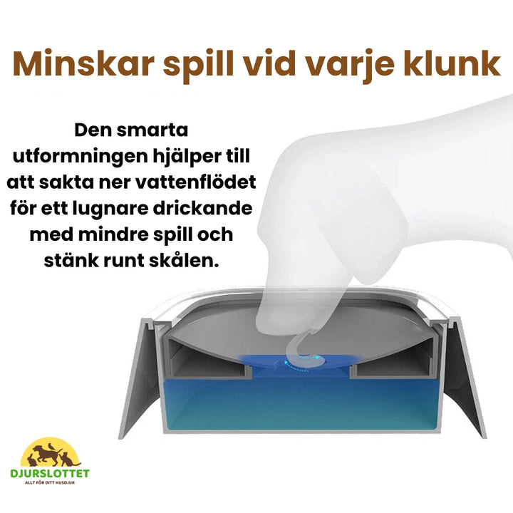 Antispill vattenskål Minskar spill vid varje klunk - Djurslottet
