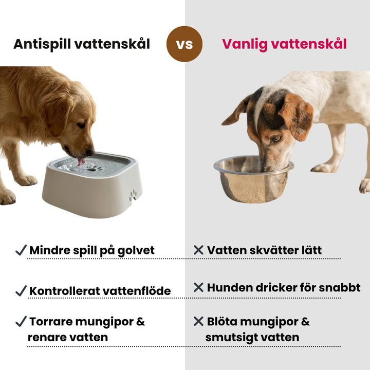 Antispill vattenskål Var , andra- Djurslottet