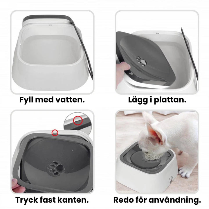 Antispill vattenskål steg by steg - Djurslottet 